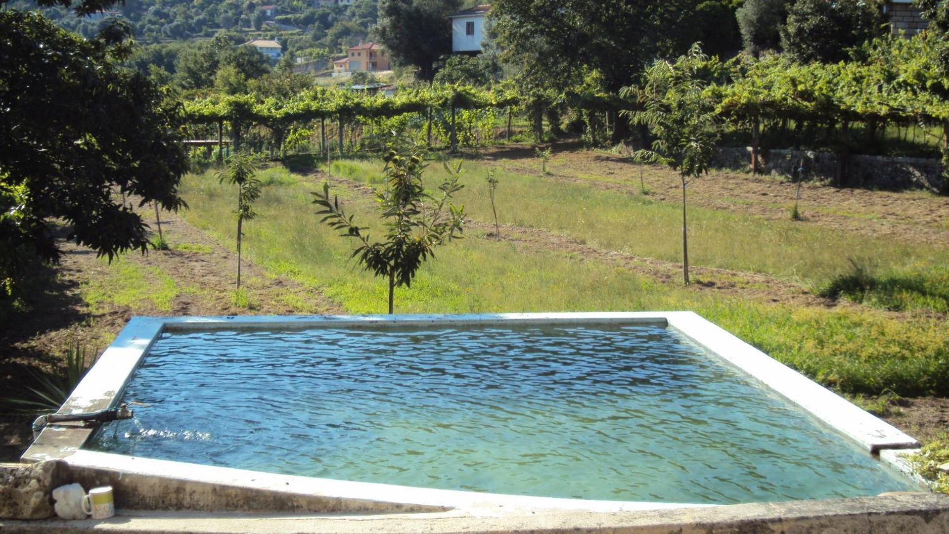 Alojamento Rodrigues Arcos de Valdevez Buitenkant foto